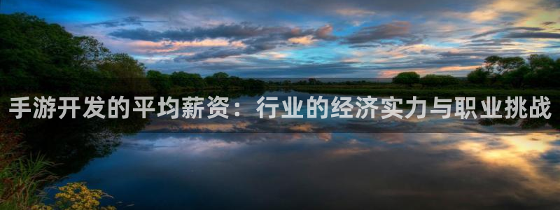 大神吧28论坛开奖：手游开发的平均薪资：行业的经济实力与职业