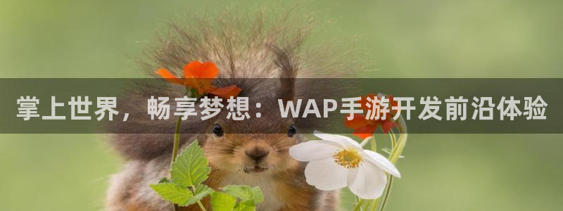 28大神ios版：掌上世界，畅享梦想：WAP手游开发前沿体验