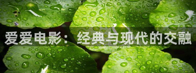 皮特影院