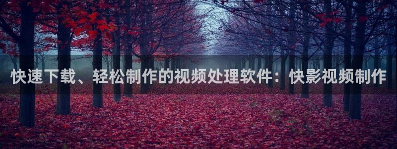 皮特影院电影免费播放