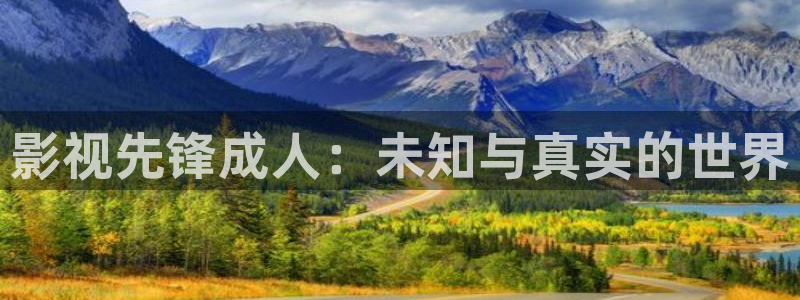 皮特影院在线观看免费观看电视