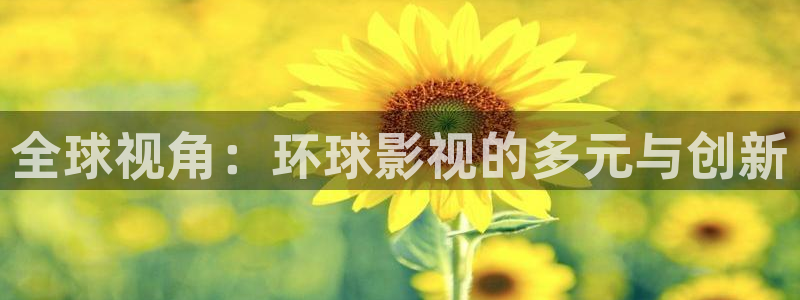 皮特影院黑狐